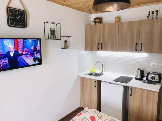 ფოტო 7: ქირავდება ბინა ბაკურიანში