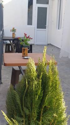 ფოტო 6: ქირავდება ბორჯომში დღიურად