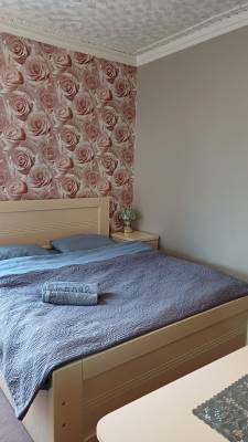 ფოტო 1: ქირავდება ბორჯომში დღიურად