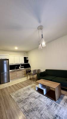 ფოტო 3: ქირავდება დღიურად და საათობრივად დიღომში