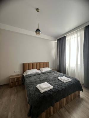 ფოტო 8: ქირავდება ბინა ბაკურიანში