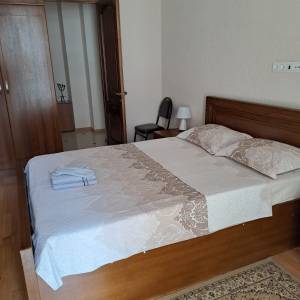 დღიურად ბინა