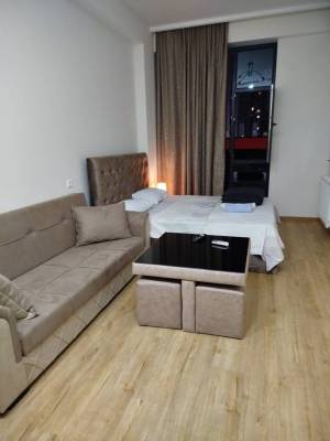 ფოტო 9: ქირავდება 1-ოთახი.