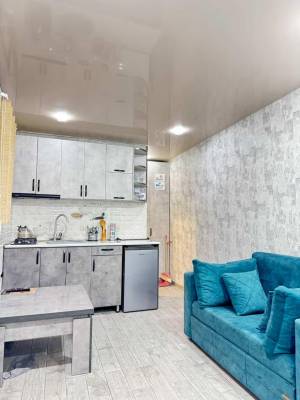 ფოტო 3: ქირავდება ბორჯომში კოტეჯები