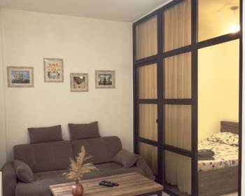 კიკვიძის  პარკთან  ქირავდება დღიურად ახალაშენებულ კორპუსში,  სუფთა,  კეთილმოწყობილი ბინა