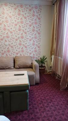 ფოტო 4: ქირავდება ბორჯომში დღიურად