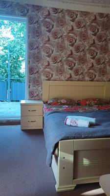 ფოტო 3: ქირავდება ბორჯომში დღიურად