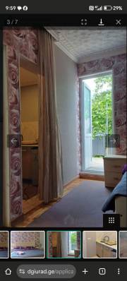 ფოტო 5: ქირავდება ბორჯომში დღიურად