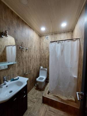 ფოტო 5: ქირავდება დღიურად და საათობრივად 2 ოთახიანი ბინა დიდ დიღომში