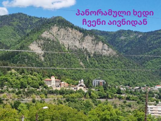 ფოტო 2: ქირავდება ორ ოთახიანი აპარტამენტი აივნითა და მთის პანორამული ხედით