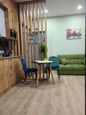 ფოტო 1: ქირავდება დღიურად ბინა ისანში