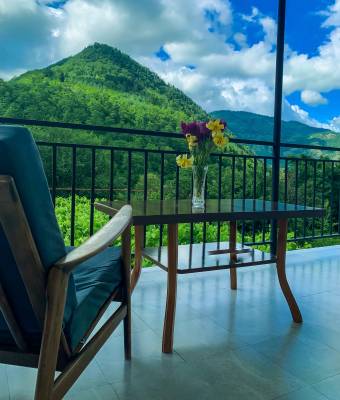 ფოტო 3: ქირავდება ბინა ბორჯომში