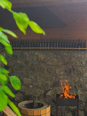 ფოტო 16: ქირავდება ბინა ბორჯომში