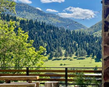 კოტეჯი ბორჯომში