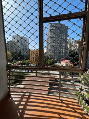 ფოტო 10: ქირავდება  ბიბა - For Rent !